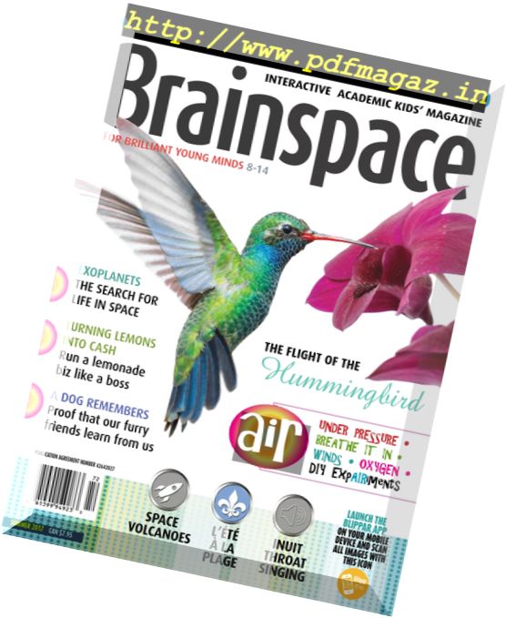 Brainspace – Summer 2017
