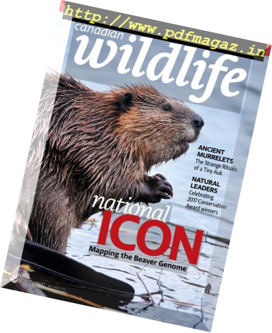 Canadian Wildlife – July-August 2017