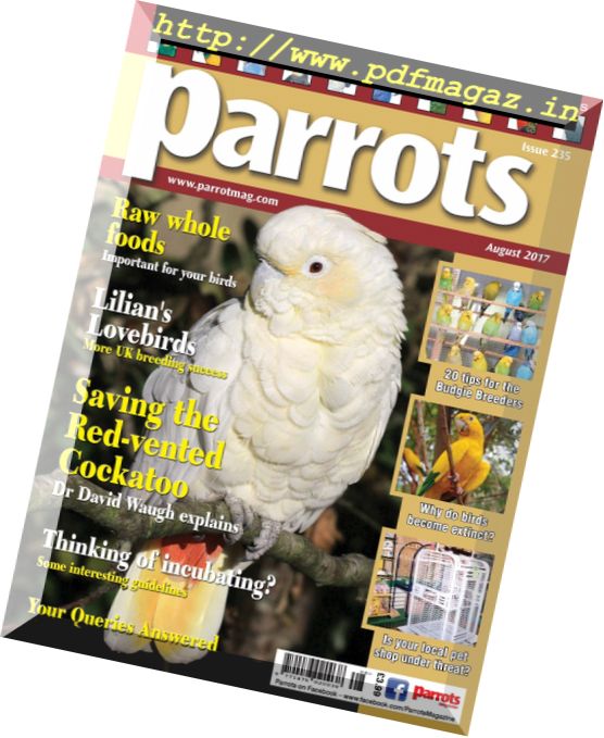 Parrots – August 2017