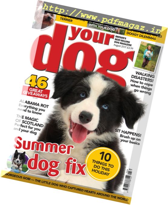 Your Dog – August 2017