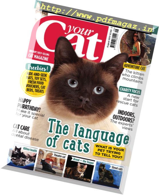 Your Cat – August 2017