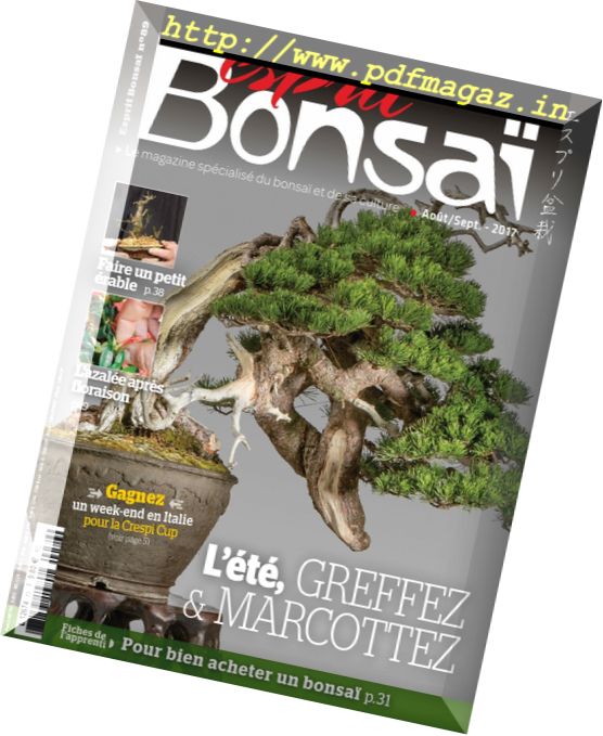 Esprit Bonsai France – Aout-Septembre 2017