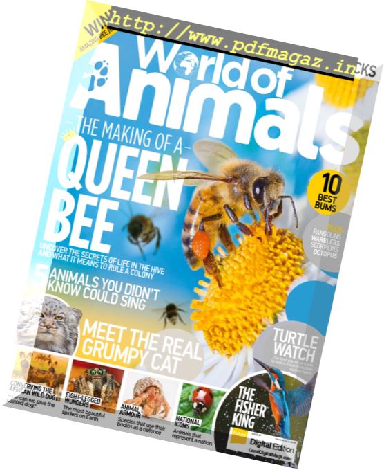 World of Animals – Issue 49, 2017