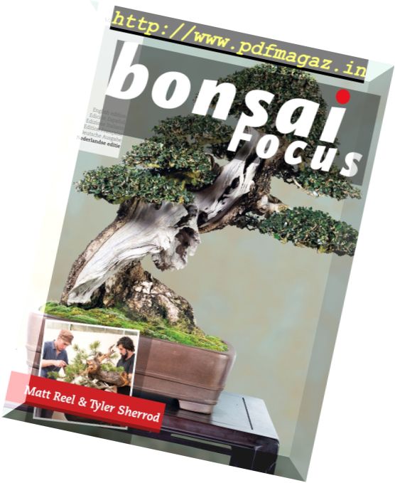 Bonsai Focus – September-Oktober 2017 Dutch Edition