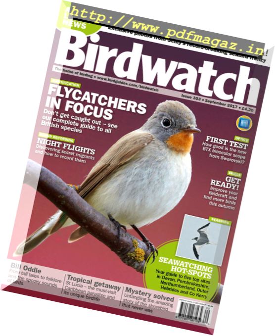 Birdwatch UK – September 2017