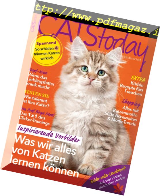 Cats Today – September 2017