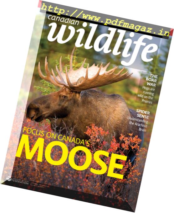 Canadian Wildlife – September-October 2017