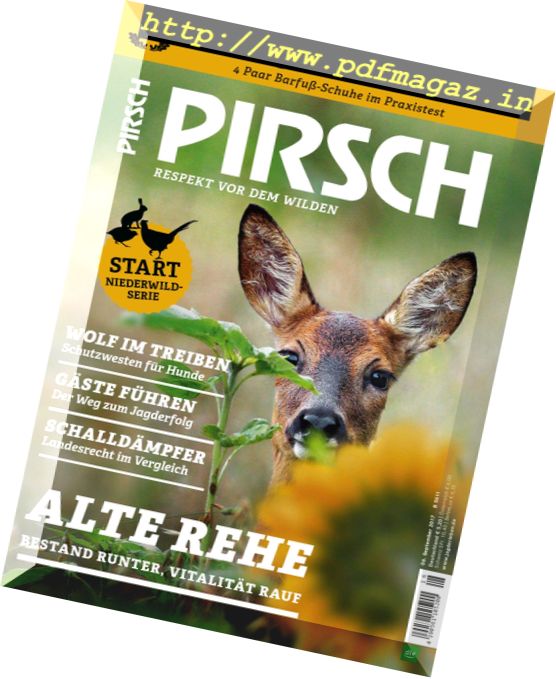Pirsch – 6 September 2017