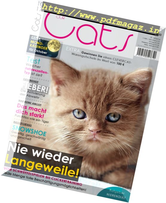 Our Cats – Oktober 2017