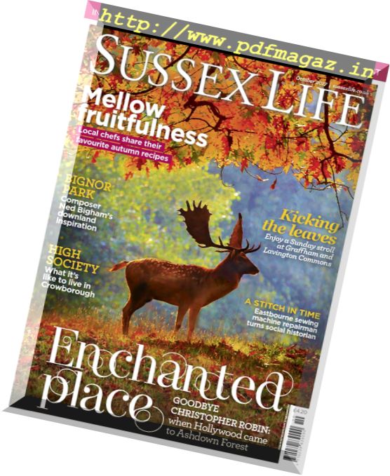 Sussex Life – October 2017