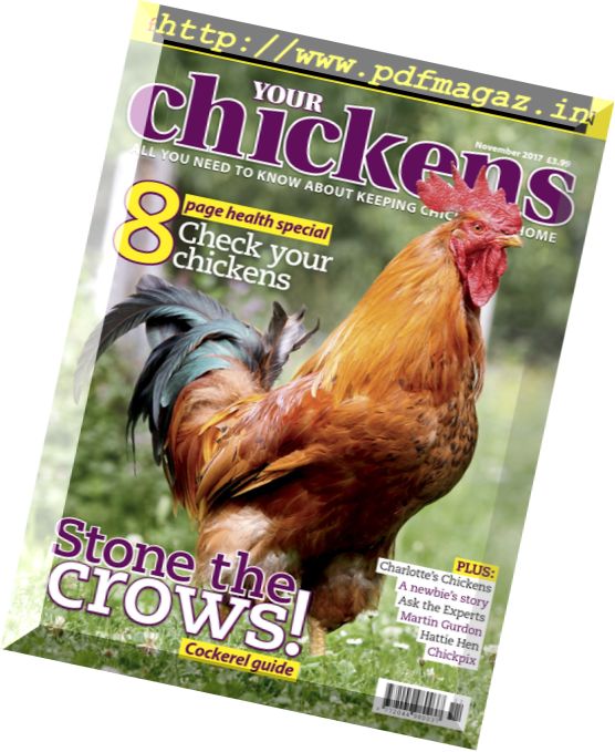 Your Chickens – November 2017