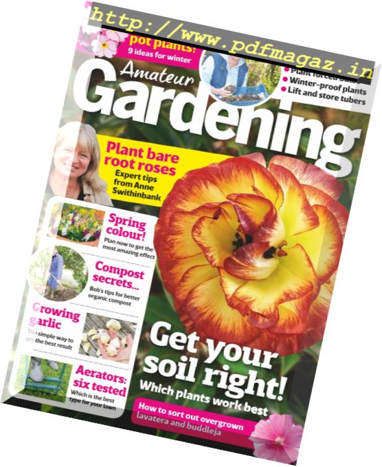 Amateur Gardening – 21 October 2017