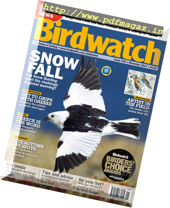 Birdwatch UK – November 2017