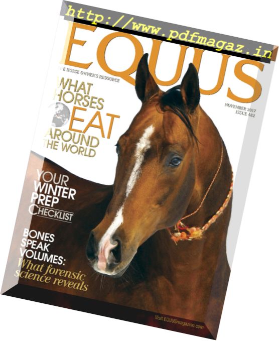 Equus – November 2017