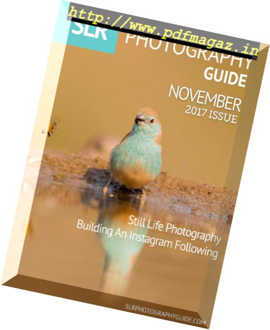 SLR Photography Guide – November 2017