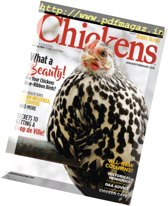 Chickens – January 2018