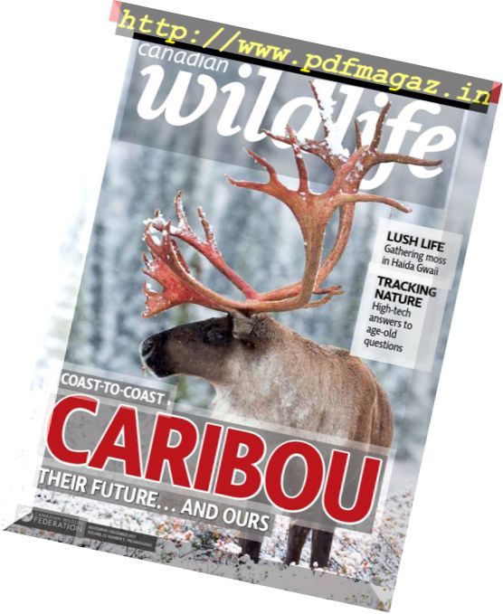 Canadian Wildlife – November-December 2017