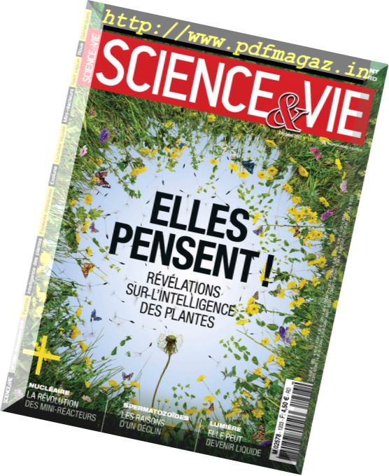 Science & Vie – Decembre 2017