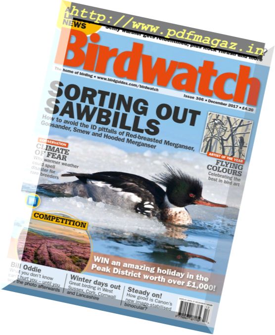 Birdwatch UK – December 2017