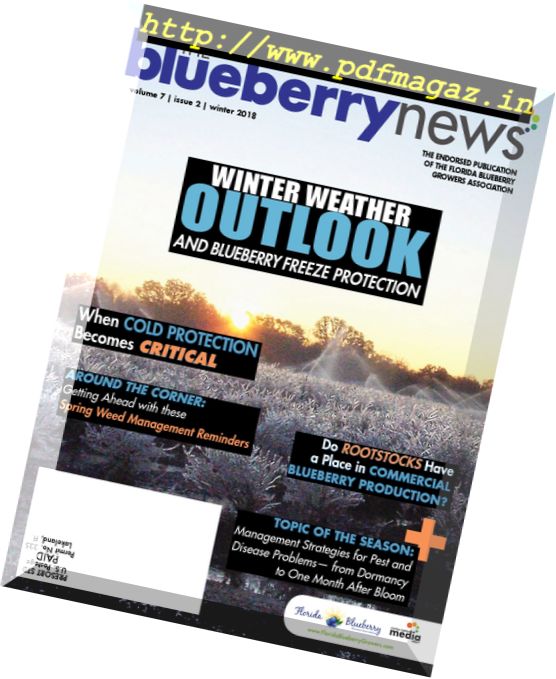 The Blueberry News – January 2018