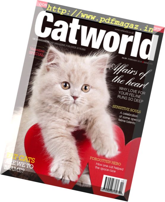 Cat World – February 2018