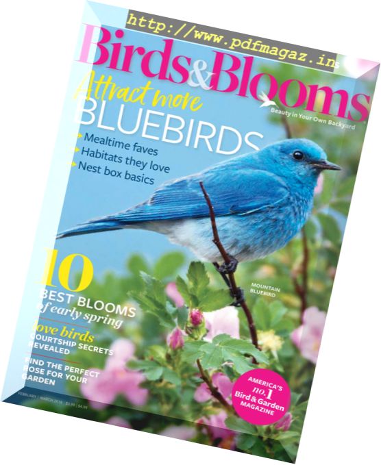 Birds & Blooms – February-March 2018