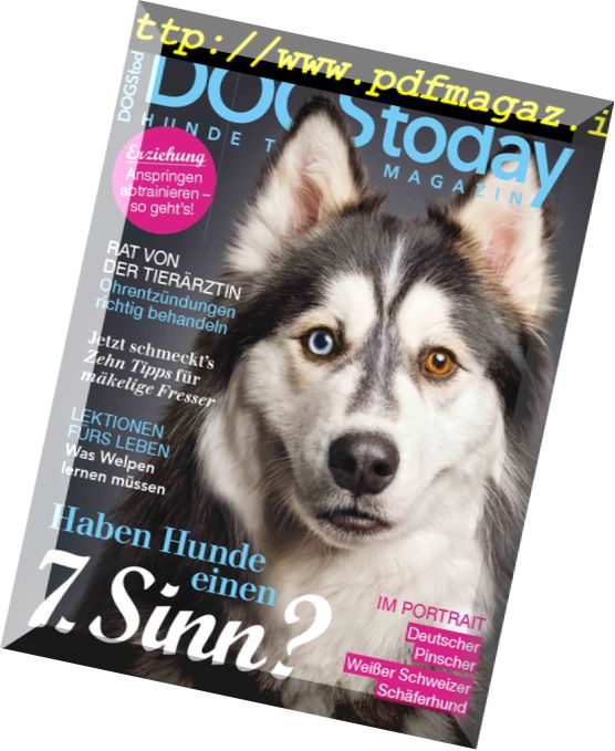 Dogs Today Germany – Februar-Marz 2018