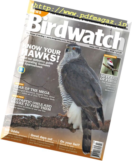 Birdwatch UK – February 2018