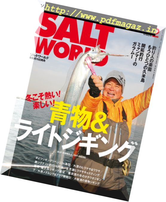 Salt World – 2018-02-01