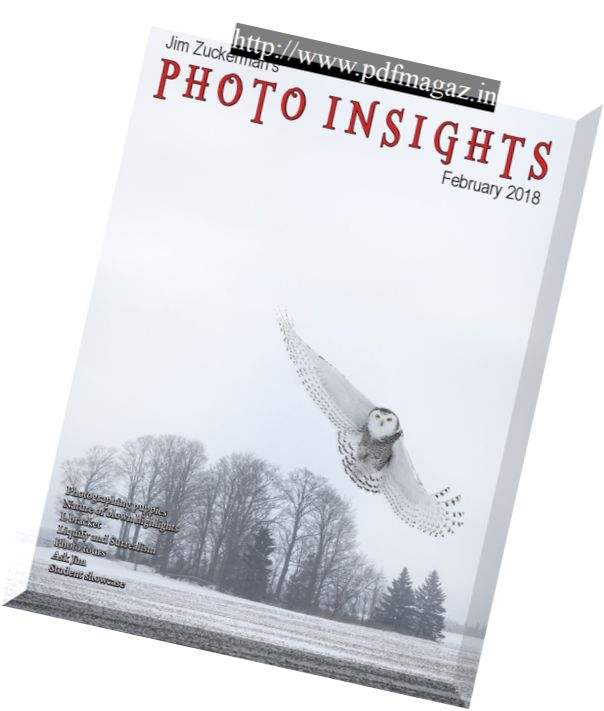 Photo Insights – February 2018