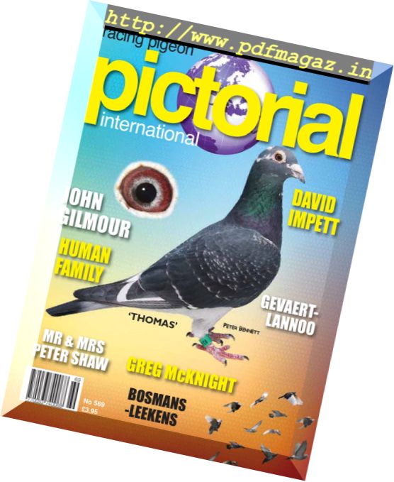 Racing Pigeon Pictorial International – January 2018
