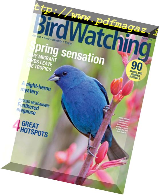 BirdWatching USA – March-April 2018