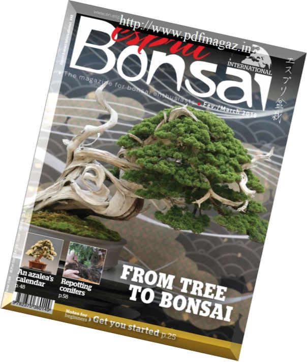 Esprit Bonsai International – 23 January 2018
