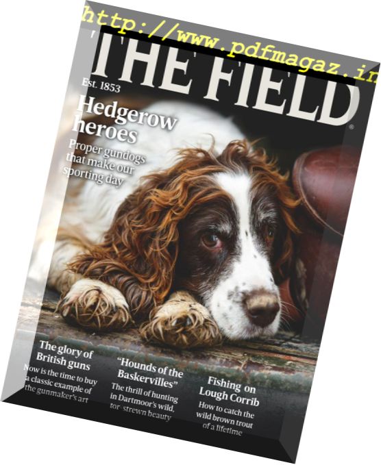 The Field – March 2018