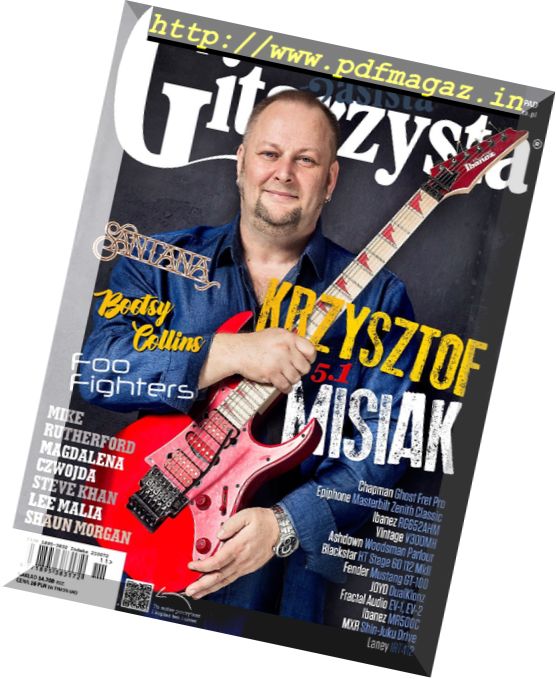 Gitarzysta – Listopad 2017