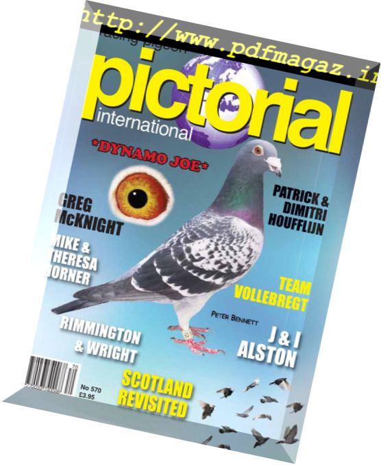 Racing Pigeon Pictorial International – February 2018