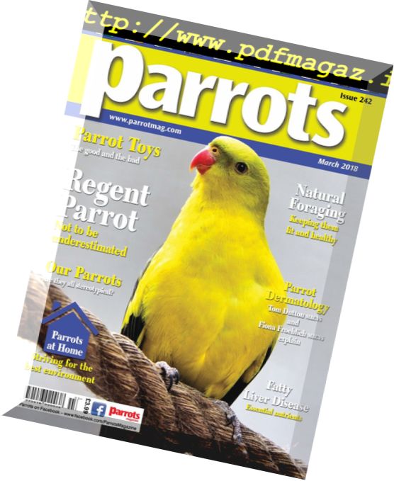 Parrots – March 2018