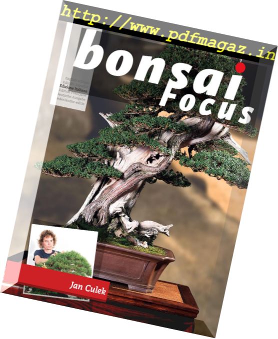 Bonsai Focus – marzo-aprile 2018 (Italian Edition)