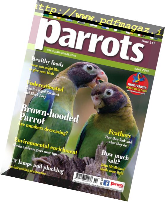 Parrots – April 2018