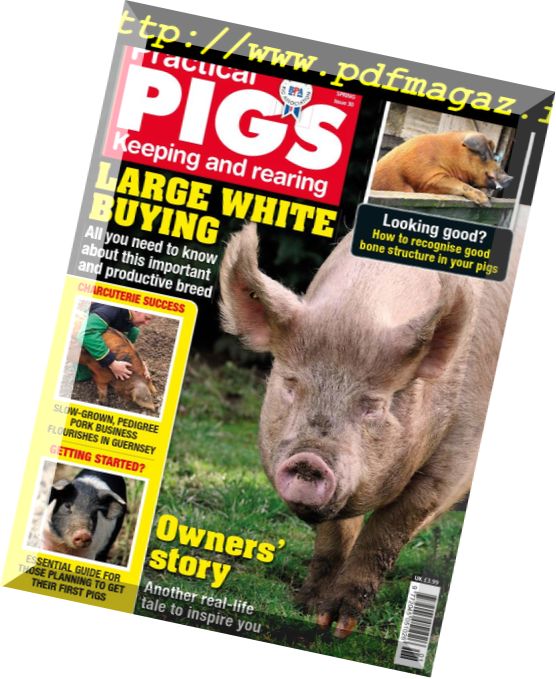 Practical Pigs – Spring 2018