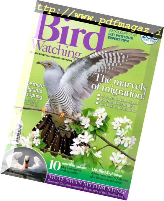 Bird Watching UK – April 2018