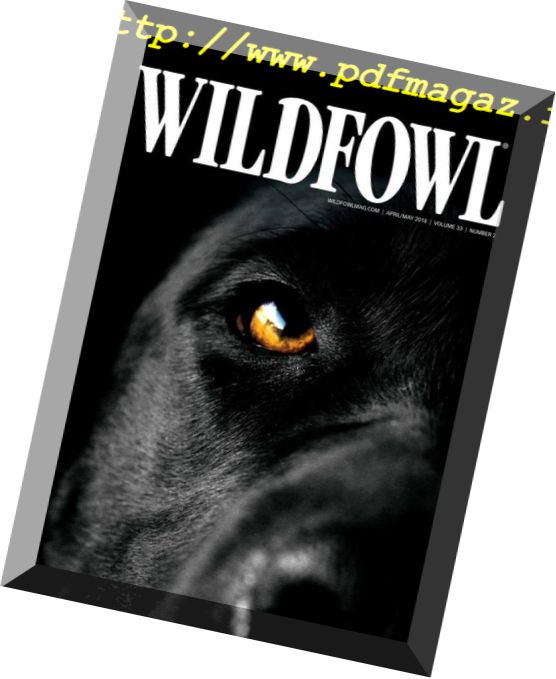 Wildfowl – April 2018