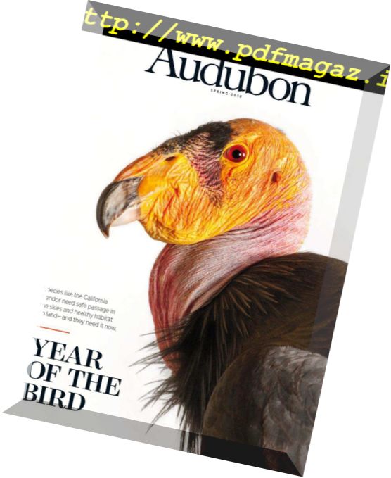 Audubon Magazine – March 2018