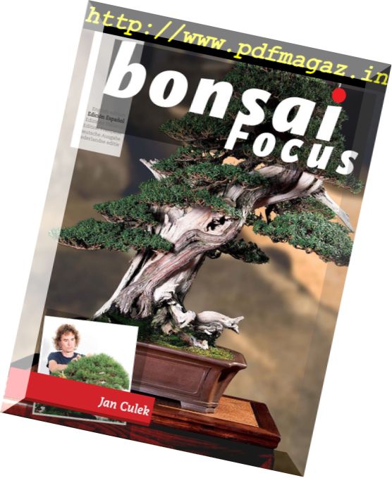 Bonsai Focus – (Spanish Edition) – marzo-abril 2018