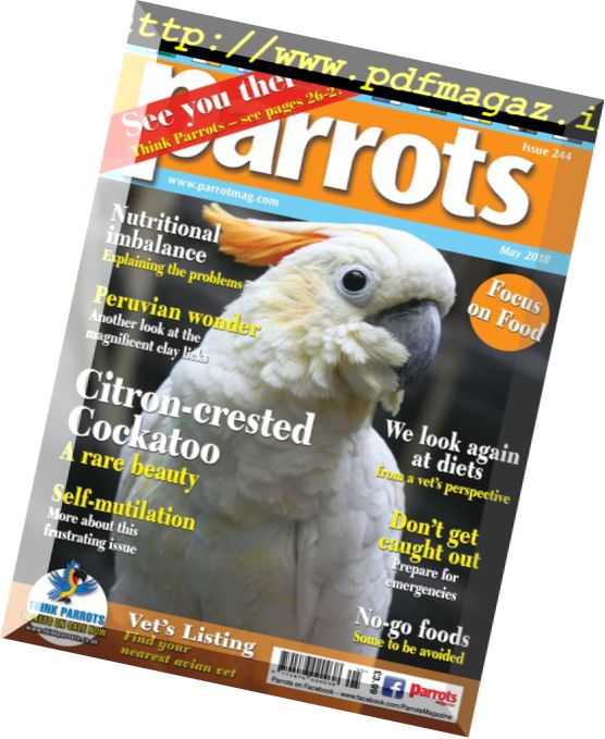 Parrots – May 2018