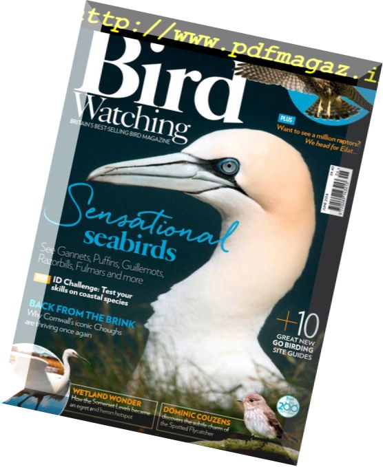 Bird Watching UK – June 2018