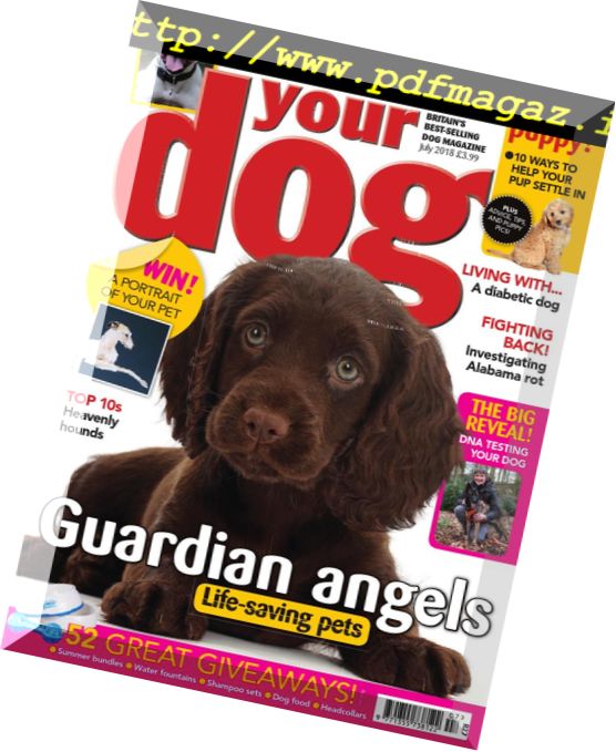 Your Dog – July 2018