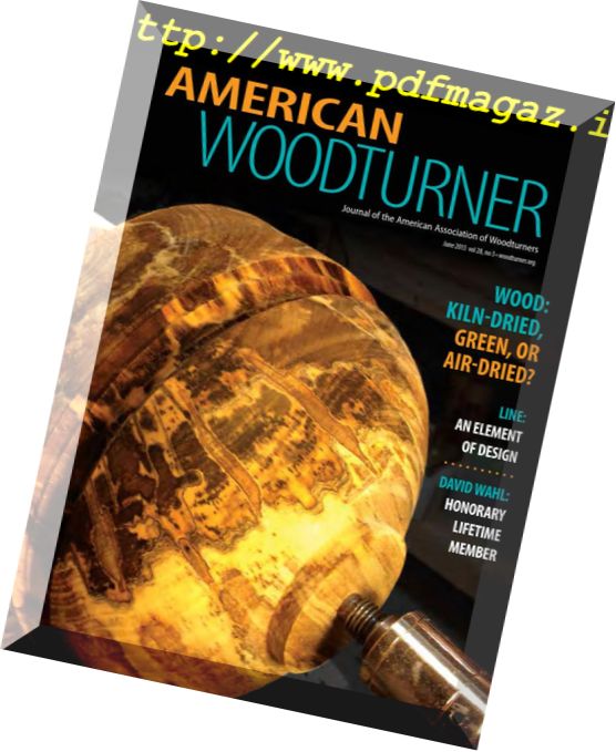 American Woodturner – June 2013