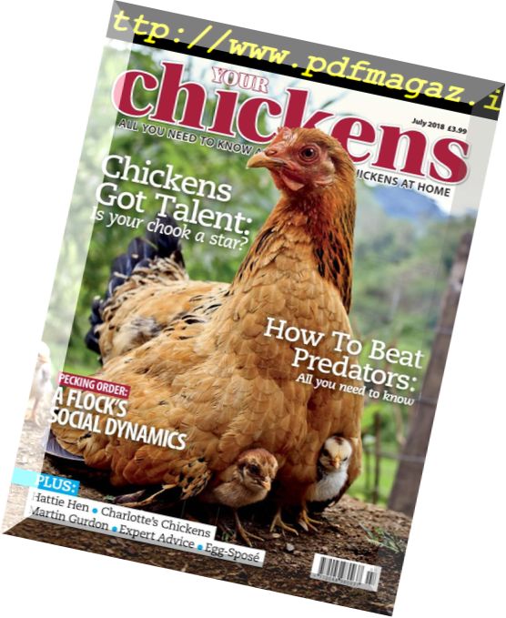 Your Chickens – July 2018