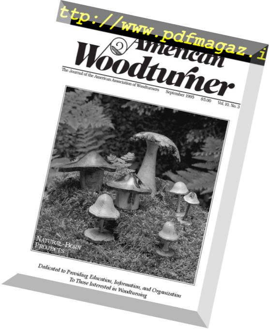 American Woodturner – September 1995